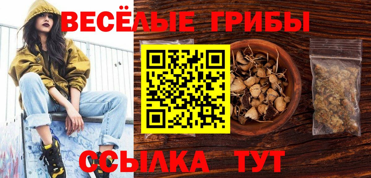 Галлюциногенные грибы Psilocybine cubensis  Галлюциногенные грибы ЛСД  Вход с VPN  Дмитров 
