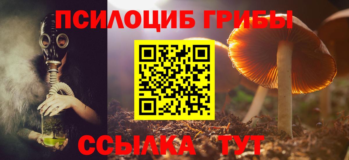 Псилоцибиновые грибы GOLDEN TEACHER Дмитров